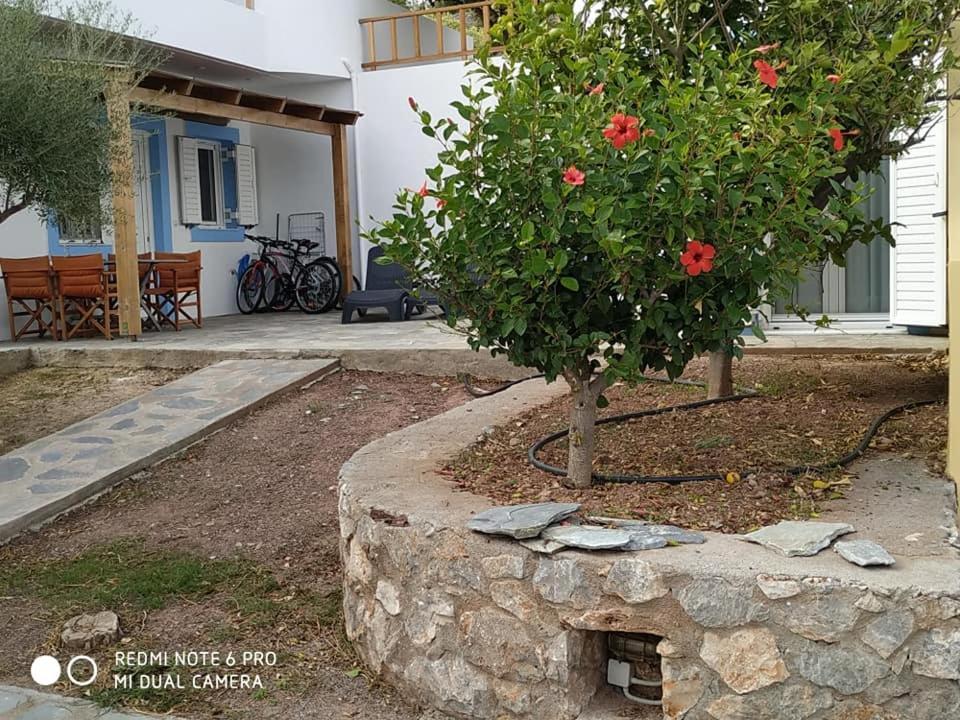 Alkioni Sea View Apartment Káto Zákros エクステリア 写真