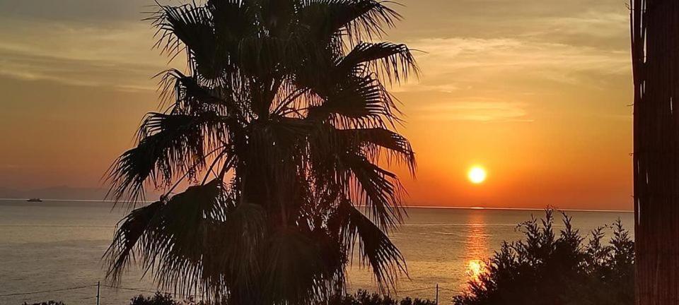 Alkioni Sea View Apartment Káto Zákros エクステリア 写真