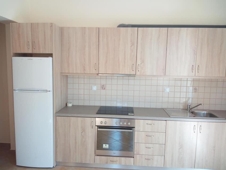Alkioni Sea View Apartment Káto Zákros エクステリア 写真