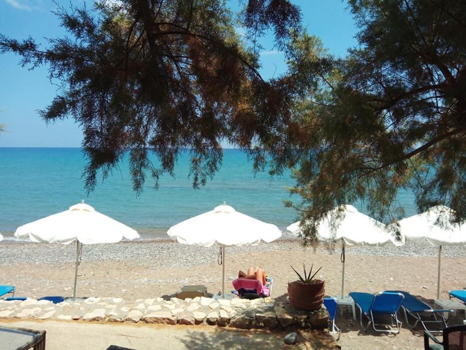 Alkioni Sea View Apartment Káto Zákros エクステリア 写真