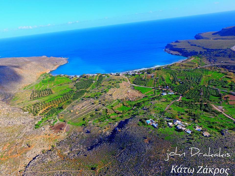 Alkioni Sea View Apartment Káto Zákros エクステリア 写真