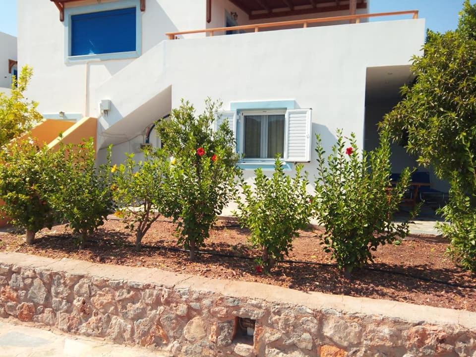 Alkioni Sea View Apartment Káto Zákros エクステリア 写真