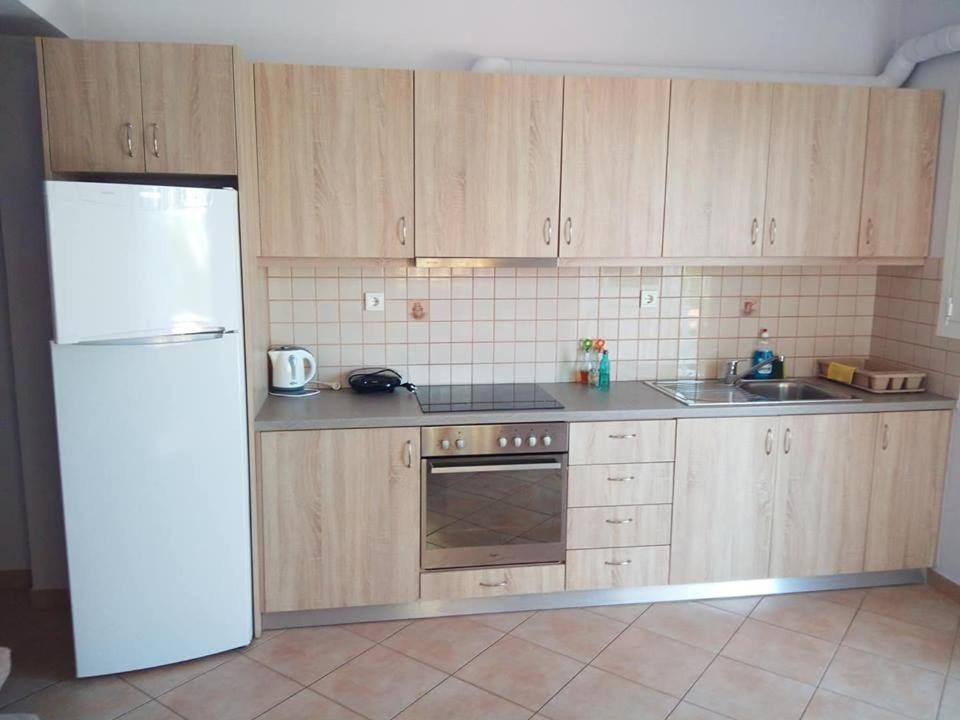 Alkioni Sea View Apartment Káto Zákros エクステリア 写真