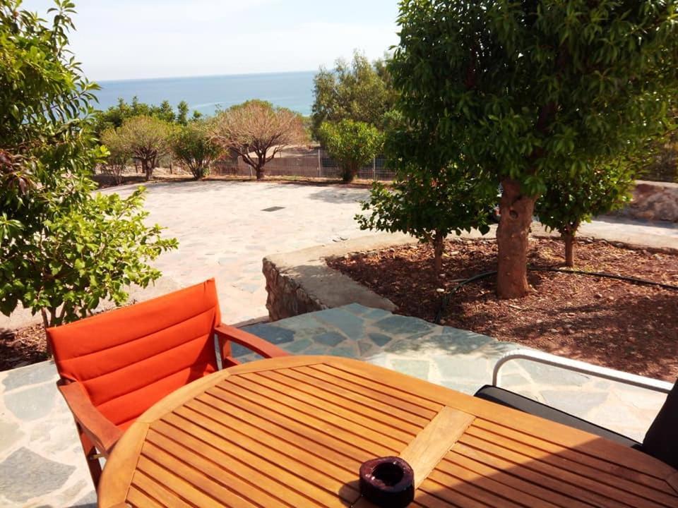 Alkioni Sea View Apartment Káto Zákros エクステリア 写真