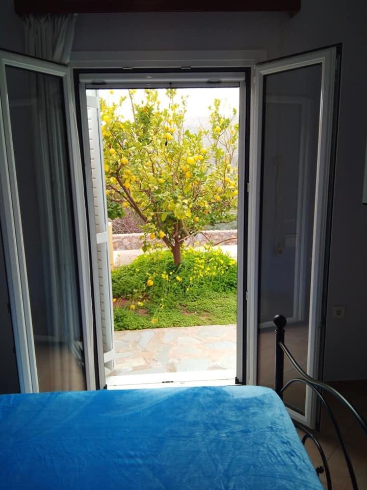 Alkioni Sea View Apartment Káto Zákros エクステリア 写真