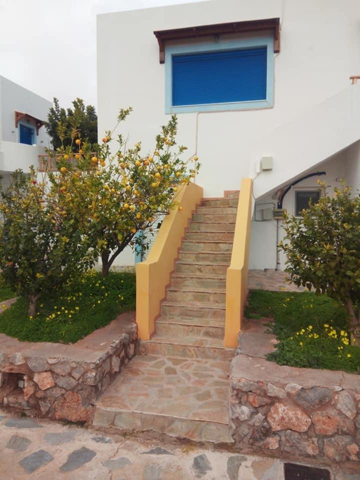 Alkioni Sea View Apartment Káto Zákros エクステリア 写真