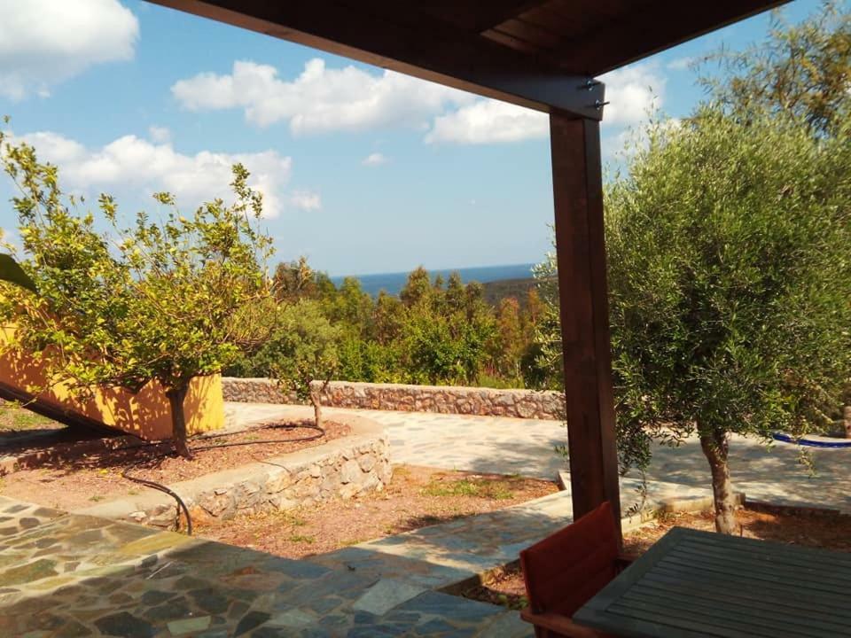 Alkioni Sea View Apartment Káto Zákros エクステリア 写真