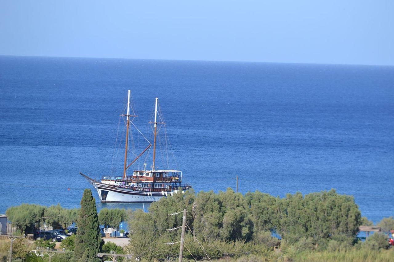 Alkioni Sea View Apartment Káto Zákros エクステリア 写真