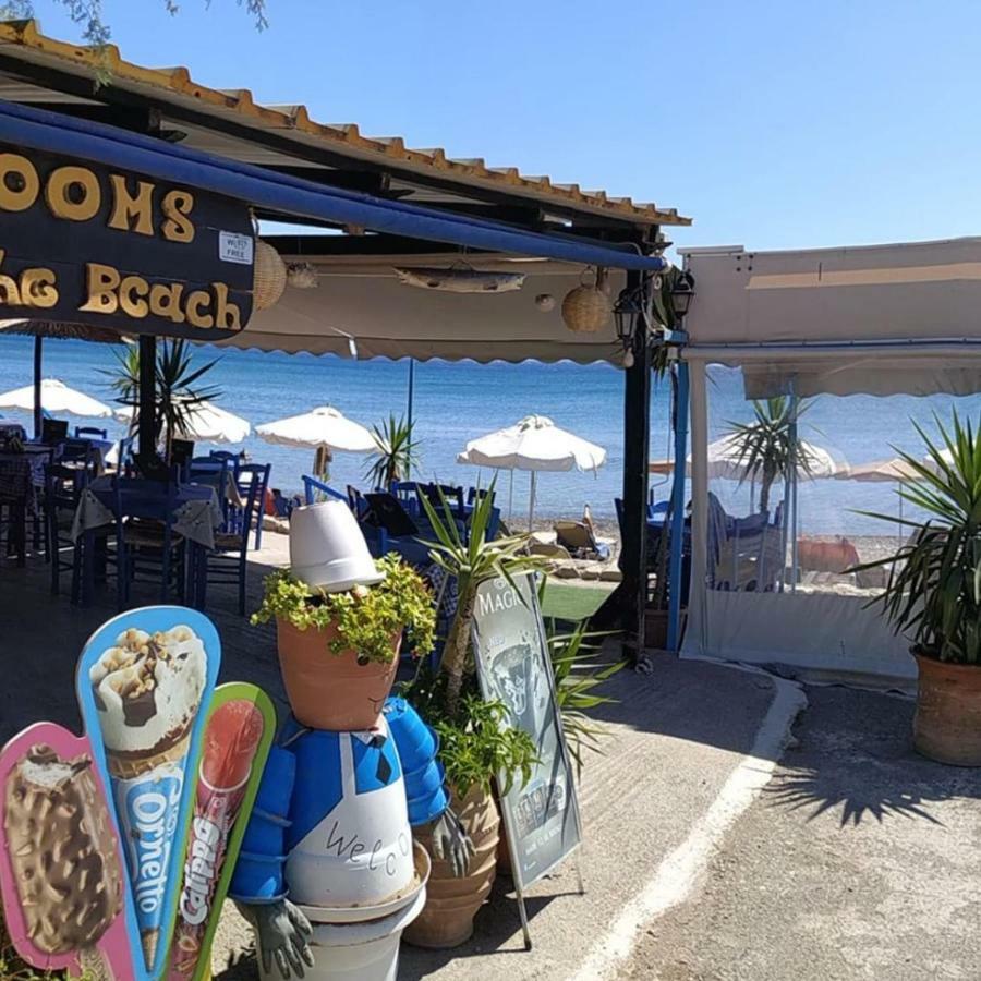 Alkioni Sea View Apartment Káto Zákros エクステリア 写真
